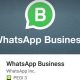 Whatsapp business