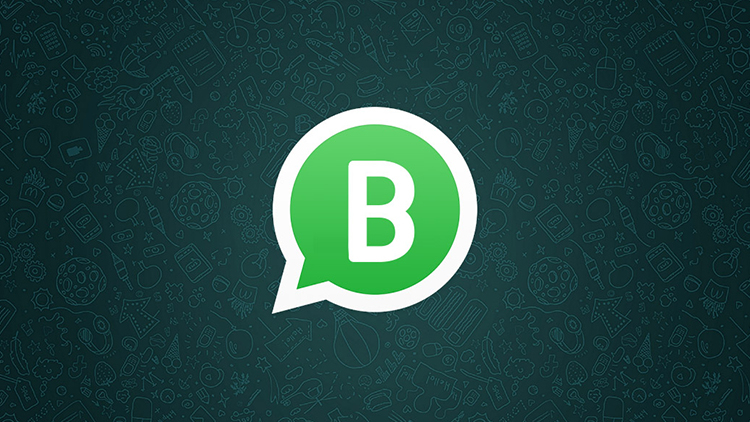 Whatsapp business su Play