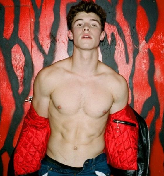 Shawn Mendes: un sito hard gli propone un'assurda offerta 