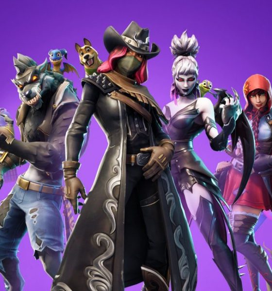 Fortnite Stagione 6: Le SKIN e i PETS presenti nel nuovo ... - 560 x 600 jpeg 65kB