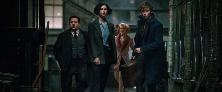 Animali Fantastici E Dove Trovarli Stasera In Tv