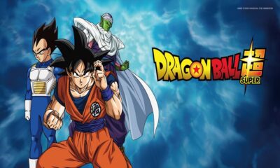 Dragon Ball Super: ci sarà una seconda stagione?
