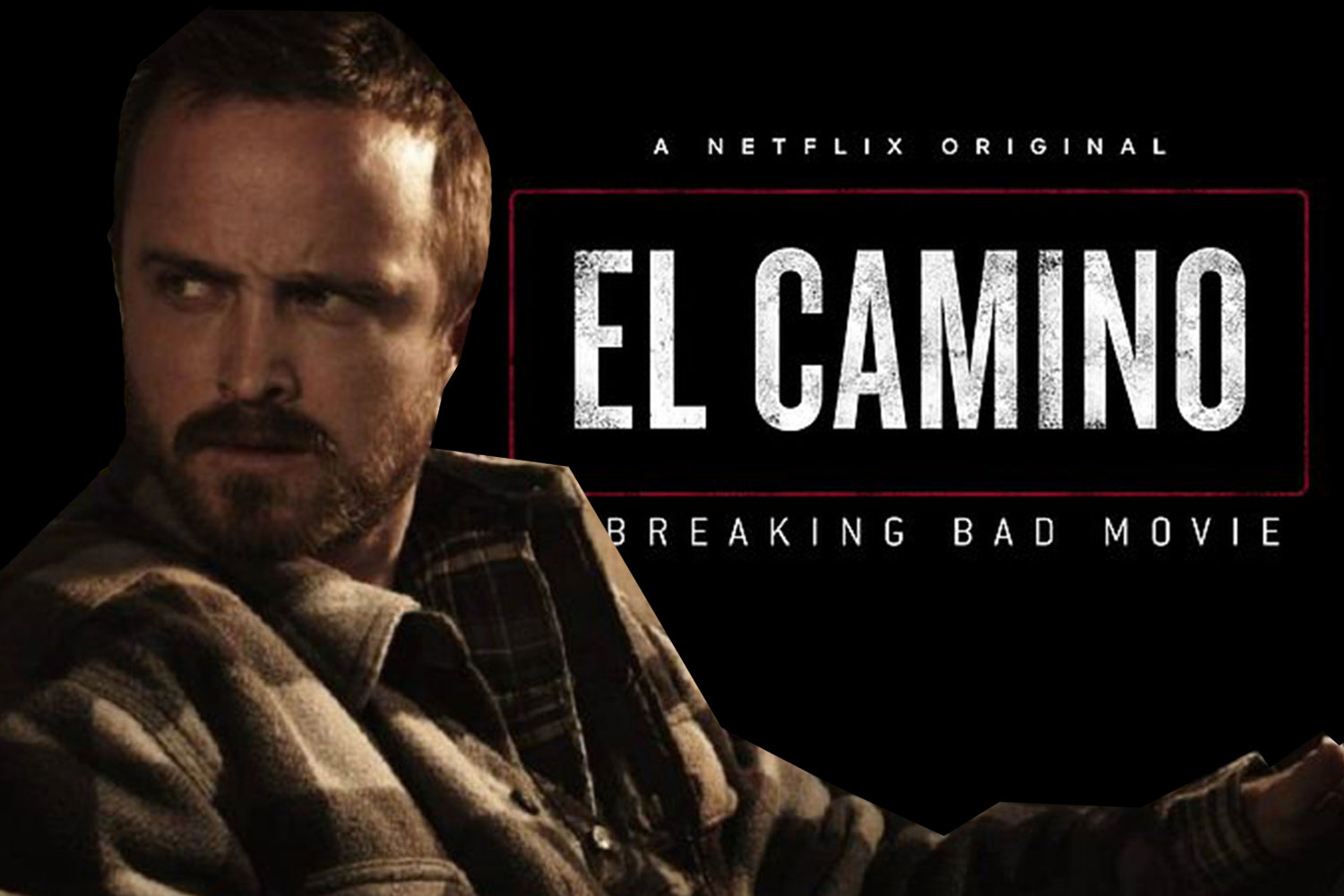 El Camino: A Breaking Bad Movie' sta ottenendo un Blu-ray Steelbook — Gogo  Magazine